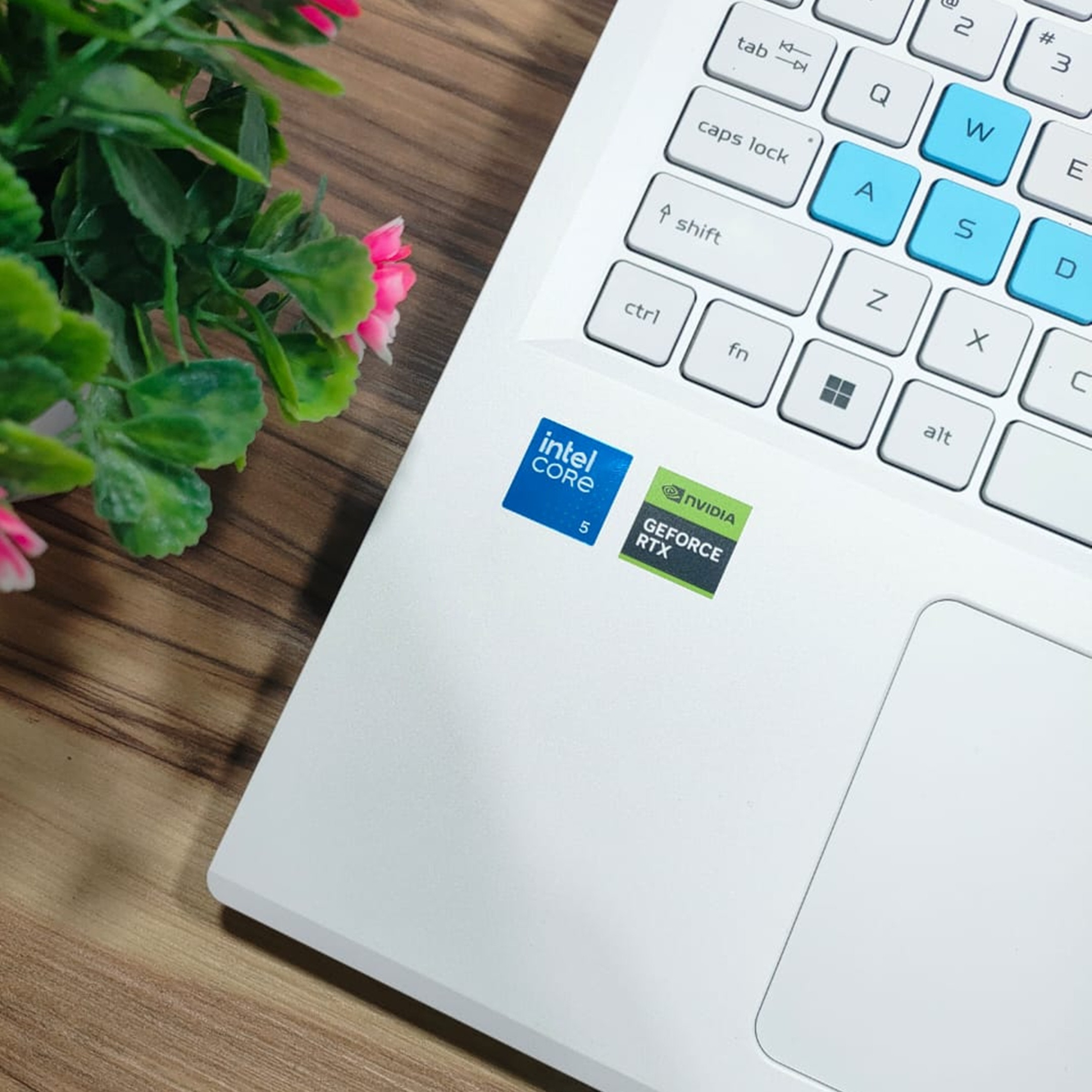 WhatsApp Image 2026-03-13 at 18.18.42.jpeg